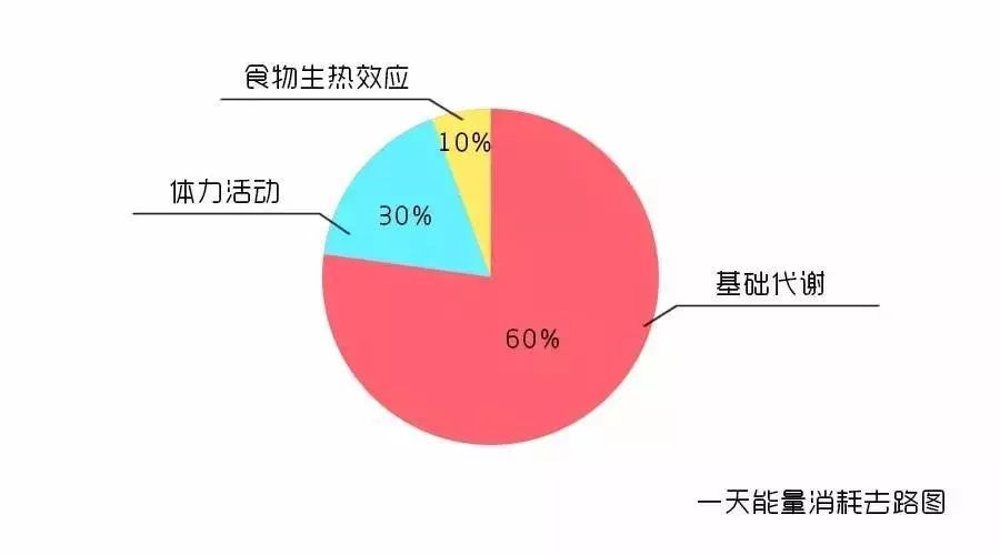 有氧运动要做啥子运动_做氧运动是什么意思_运动氧气